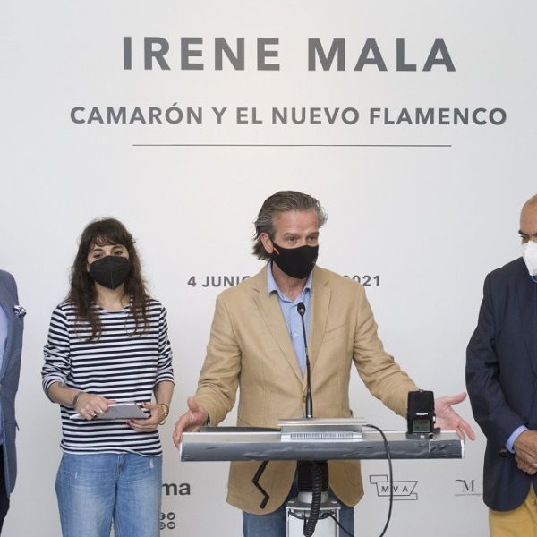 El espacio expositivo Pacífico 54 de la Diputación acoge la muestra Camarón y el nuevo flamenco’ de la ilustradora sevillana Irene Mala