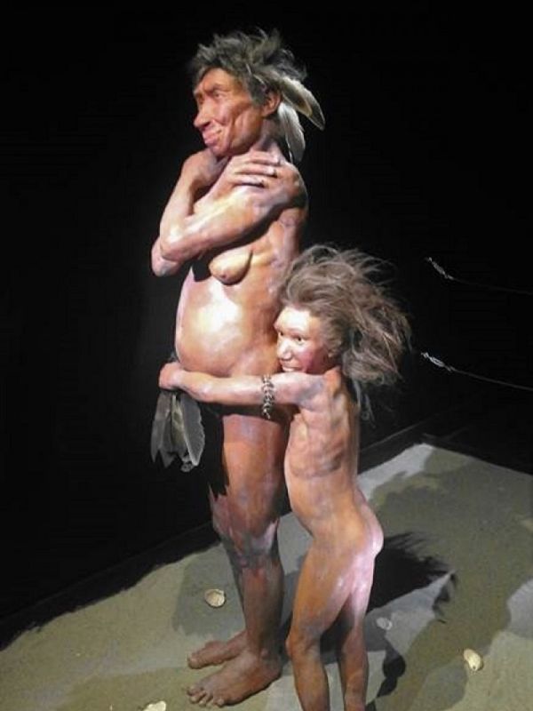 Los neandertales capturaban aves en las cuevas para su consumo