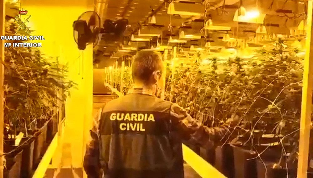 Detenidas 34 personas y 12,6 toneladas de marihuana intervenidas en una operación contra el tráfico de drogas en Barcelona