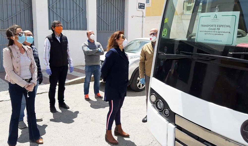 La Junta activa de forma progresiva las 24 rutas de autobuses para trabajadores del sector agrario