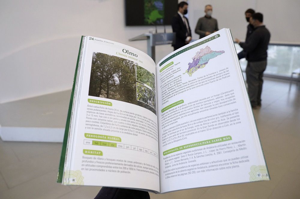 La Diputación edita una guía para reconocer los árboles y arbustos más relevantes de la Gran Senda