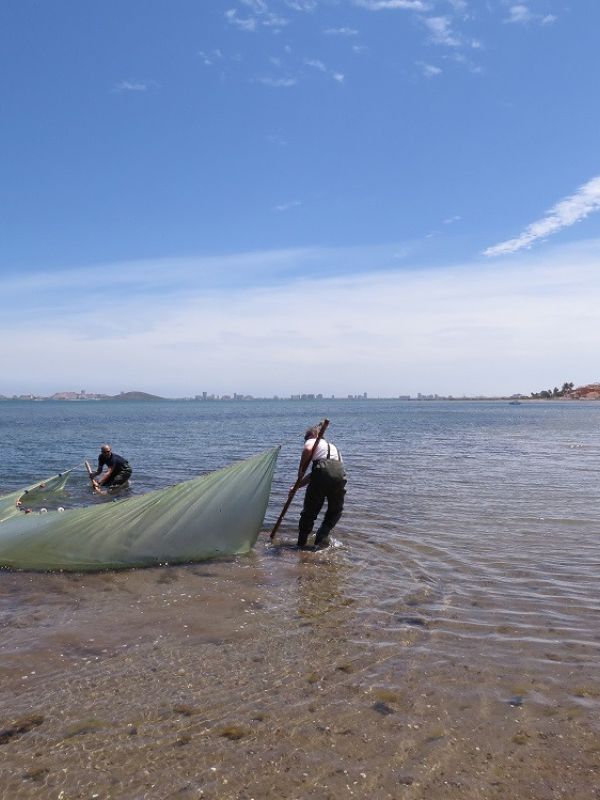 Un proyecto diseña una hoja de ruta con 14 soluciones para el desarrollo sostenible del Mar Menor