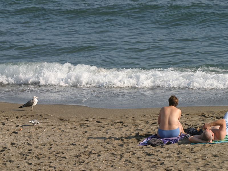 Las aguas de baño de las playas andaluzas se encuentran en niveles de calidad adecuados