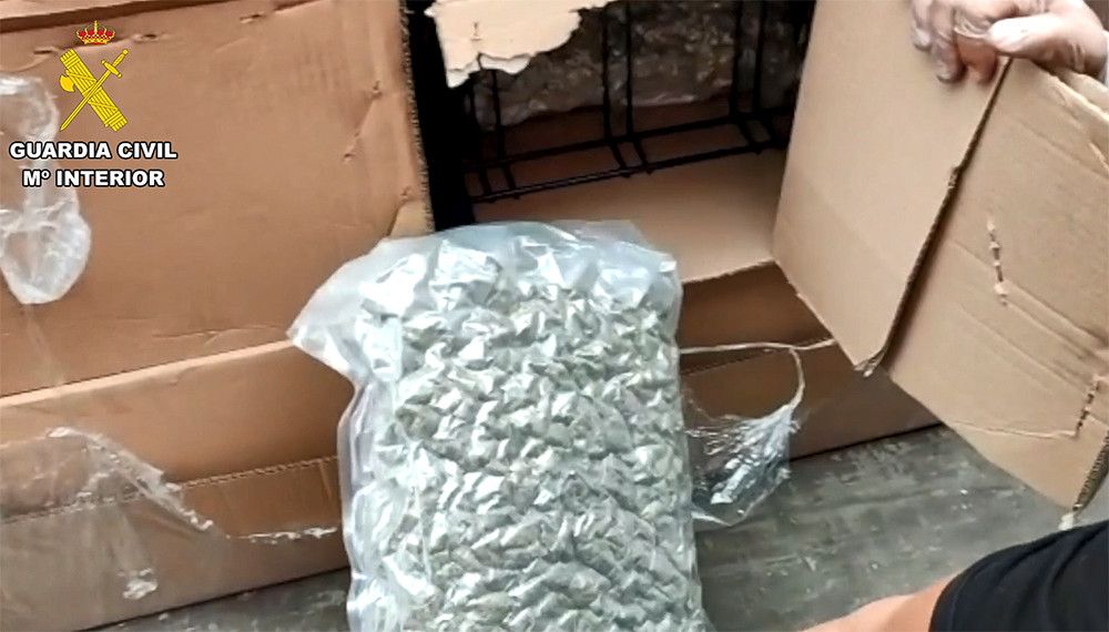 La Guardia Civil desarticula un grupo criminal dedicado al cultivo intensivo de marihuana en la provincia de Málaga