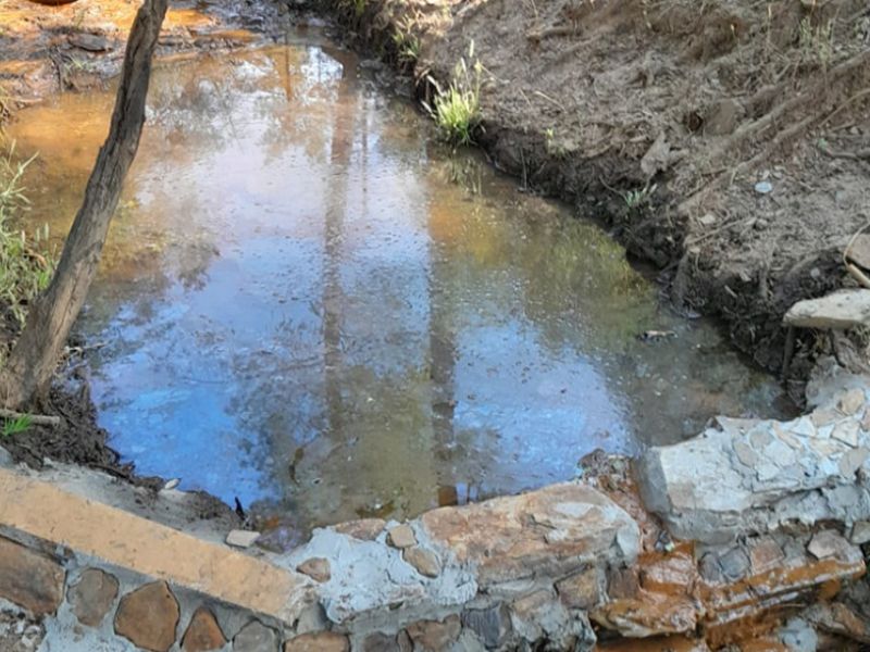 Andalucía planifica medidas de emergencia para contar con una red de puntos de agua para la fauna