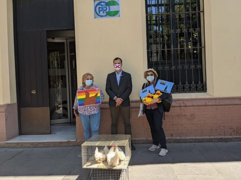 Gallinas para los diputados del PP por no impedir la celebración obligatoria del "orgullo" LGTBI en los colegios andaluces
