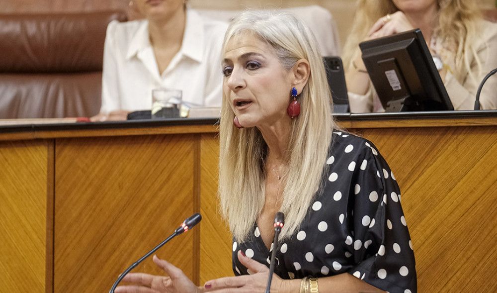 La consejera de educación afirma que la ratio media en Infantil y Primaria ha bajado medio punto en este curso