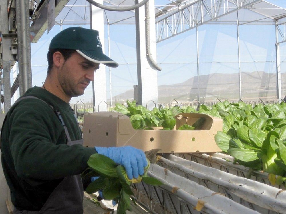 El recorte del 10% de los fondos europeos de la Política Agraria Común perjudicará especialmente a Andalucía