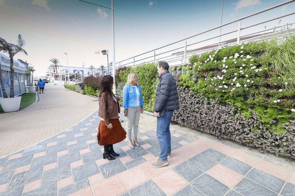 El Ayuntamiento instala en el Puerto Deportivo más de 230 metros cuadrados de jardines verticales e iluminación LED de bajo consumo