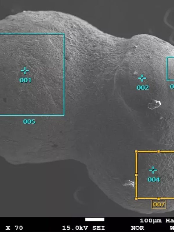 Encuentran los restos de un meteorito procedente de fuera del sistema solar