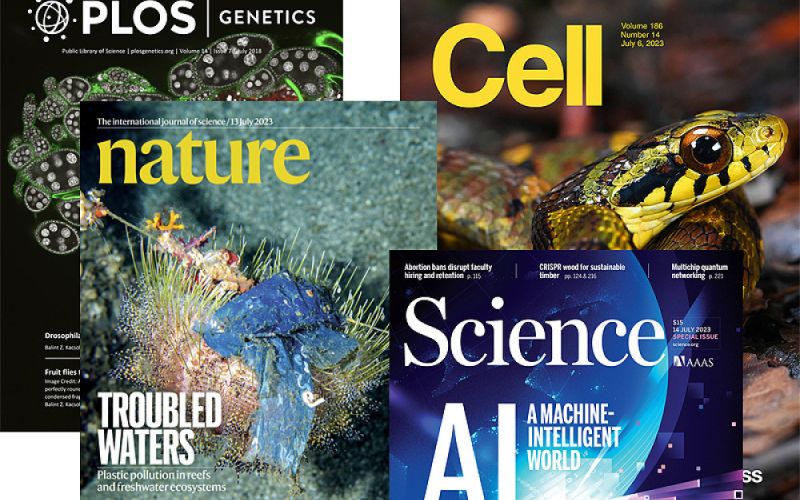Un estudio señala que la ciencia en inglés es un obstáculo para quienes tienen otra lengua materna