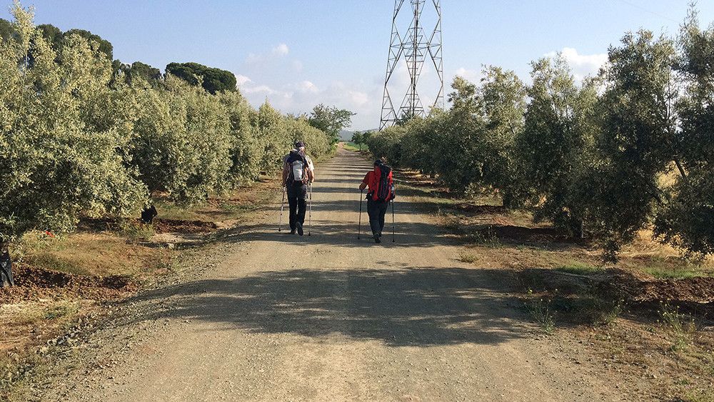 La Diputación modernizará la ruta del Camino Mozárabe de Santiago que transcurre por la provincia