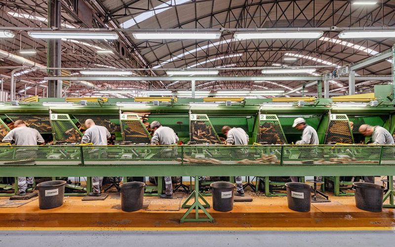 El Ministerio de Agenda Urbana inaugura el Pabellón de España en la Bienal de Venecia 2023 con el proyecto FOODSCAPES