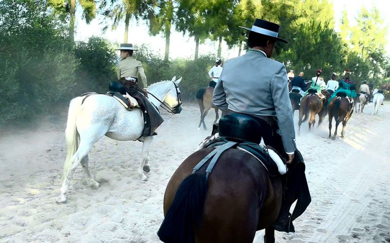 La Romería del Rocío, inscrita como Bien de Interés Cultural