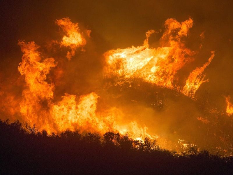 Protección Civil y Emergencias mantiene la alerta por altas temperaturas y pide máxima precaución para evitar incendios forestales
