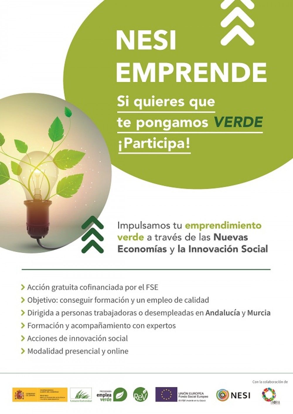 La Noria apoya el emprendimiento verde a través de un programa formativo de nuevas economías e innovación social