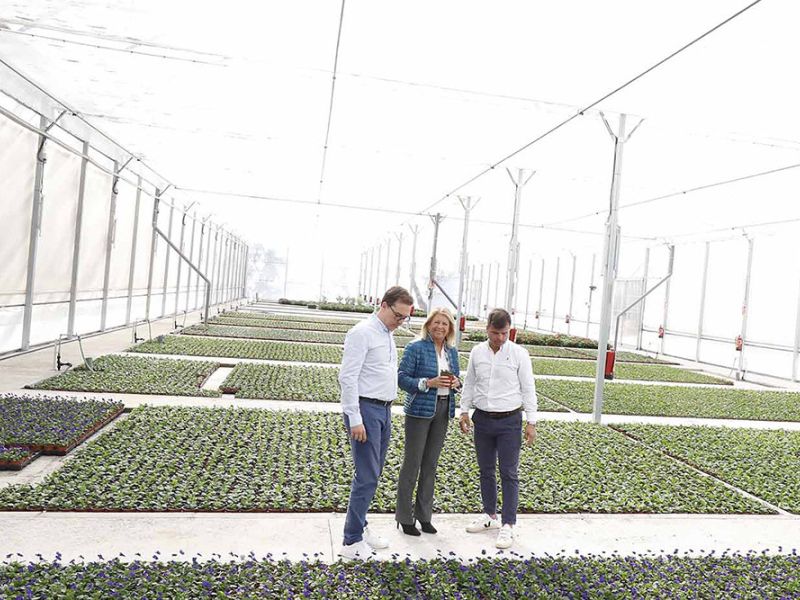 El vivero municipal de Las Chapas ha producido más de 70.000 ejemplares desde su entrada en funcionamiento