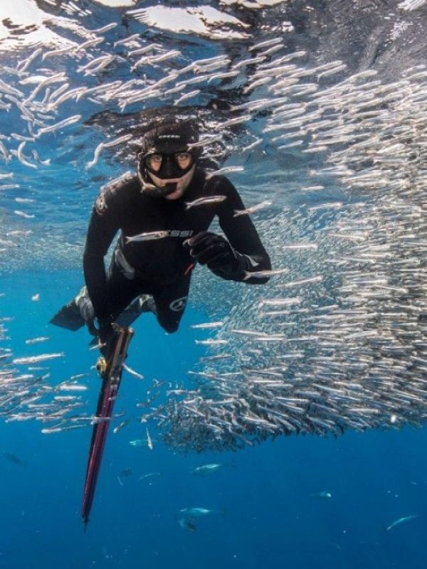 Expertos del CSIC analizan el impacto socioeconómico de la pesca recreativa