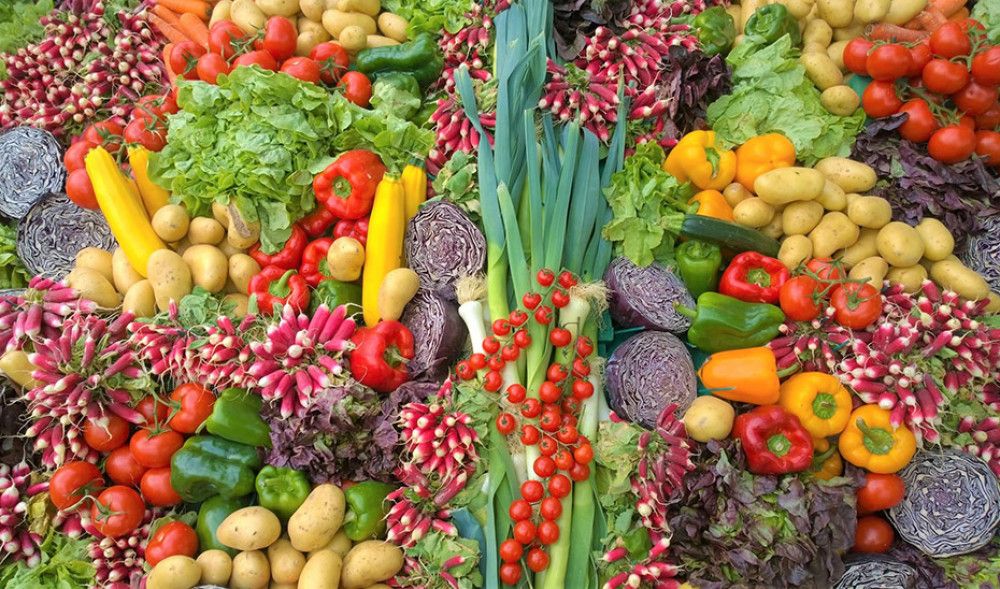 El sector agroalimentario andaluz crece un 7,3% y bate su récord de exportaciones entre enero y julio