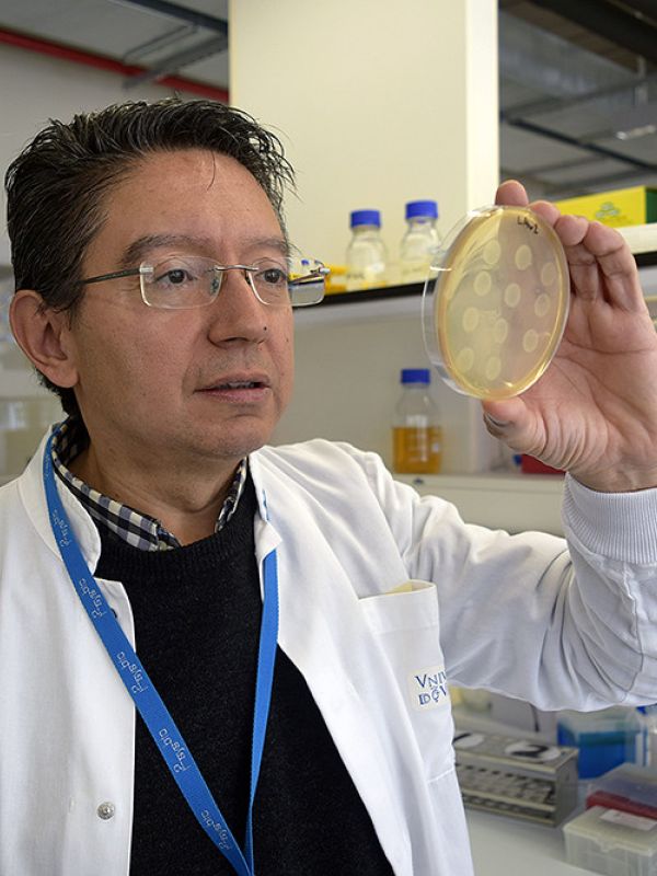 Científicos del CSIC enseñan a bacterias a leer’ señales del código morse