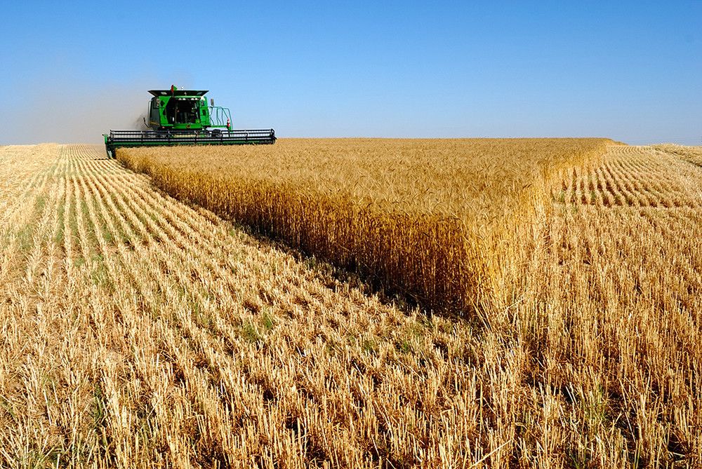El Gobierno publica la orden de módulos con una rebaja mínima del 25% en el IRPF 2022 para 800.000 agricultores y ganaderos