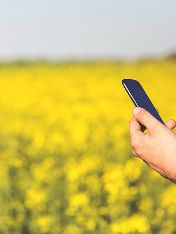 Investigadores del CSIC desarrollan una aplicación que permite optimizar el trabajo de los agricultores