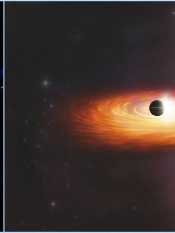 El Chandra ve evidencias de un posible planeta en otra galaxia