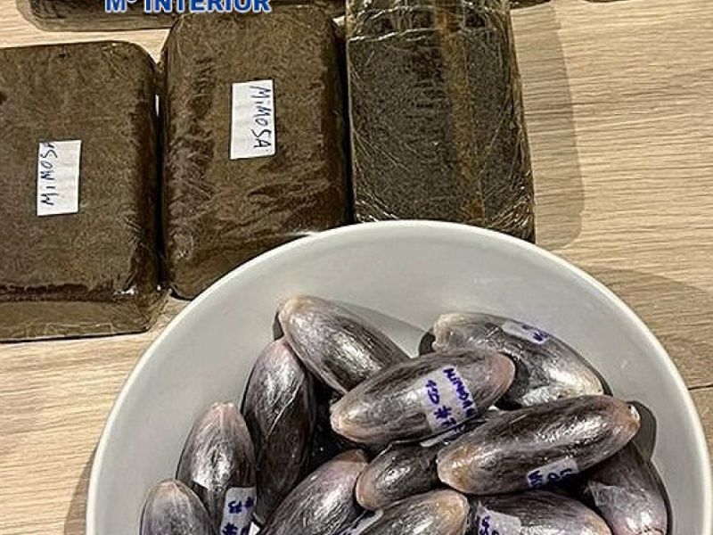 La Policía Nacional detiene en la provincia de Málaga a los responsables de una organización dedicada al tráfico de drogas