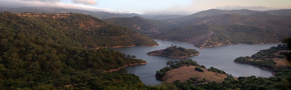 Transición Ecológica asegura que gestionará La Almoraima con criterios de conservación y restauración de las áreas forestales