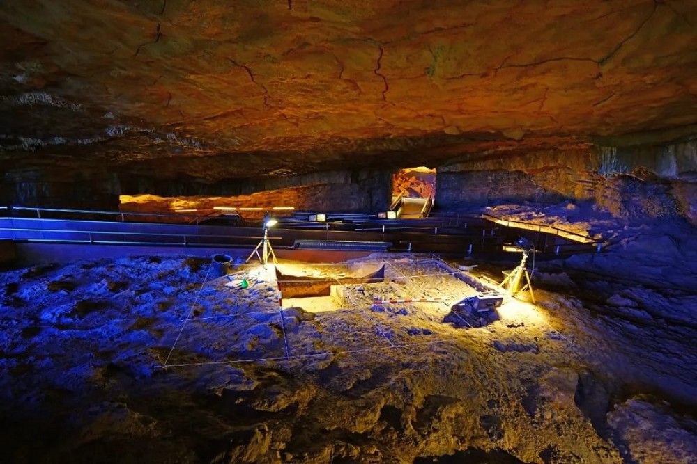 El Museo de Altamira retoma las visitas a la cueva a partir del 15 de agosto