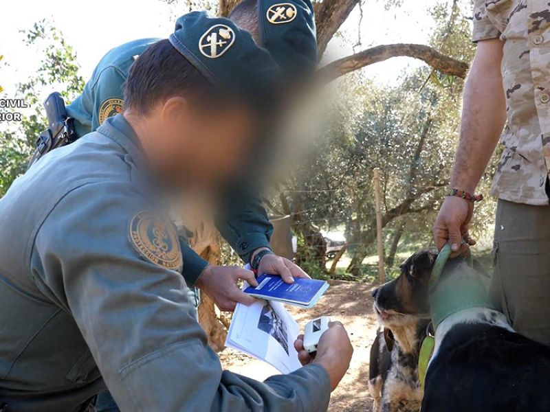 Son 58 los investigados por mutilar a más de mil perros en varias provincias de Andalucía