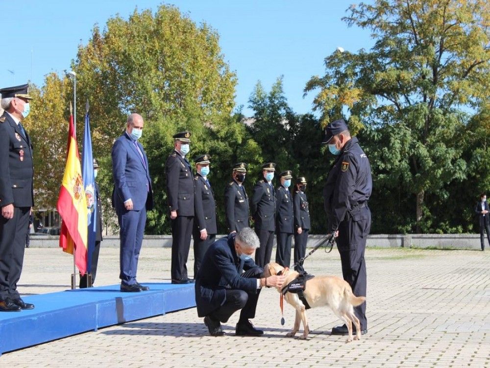 Condecorados seis perros de la Unidad de Guías Caninos de la Policía Nacional