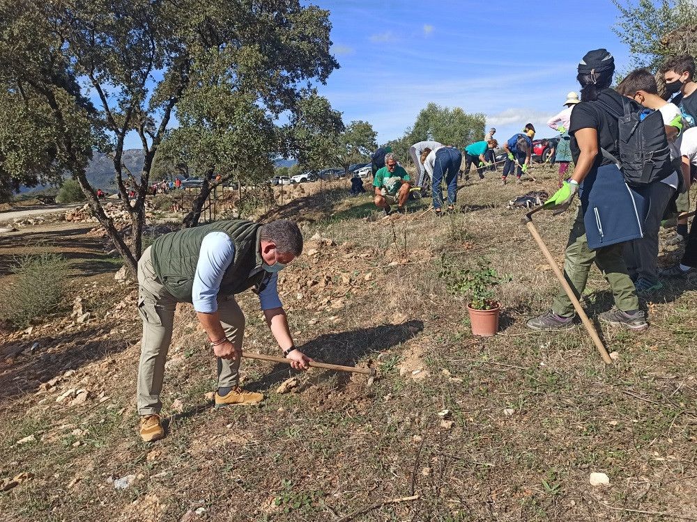 La Diputación de Málaga planta más de 1.600 árboles en Villanueva de Algaidas, Riogordo y Alfarnatejo