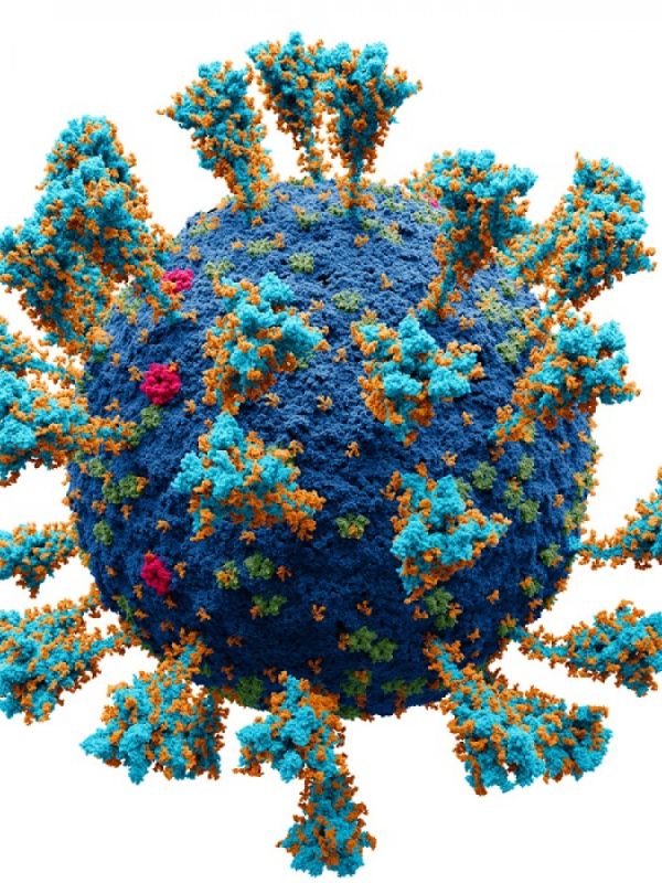 Descubren más de cien mil virus desconocidos mediante una nueva herramienta informática