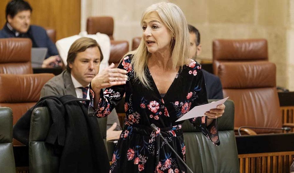 El sistema educativo andaluz cuenta con 1.022 aulas públicas más que en 2018 pese al descenso de la natalidad