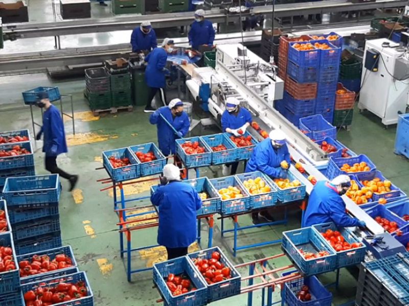 La economía andaluza crece por encima de la española y supera ya el PIB previo a la pandemia