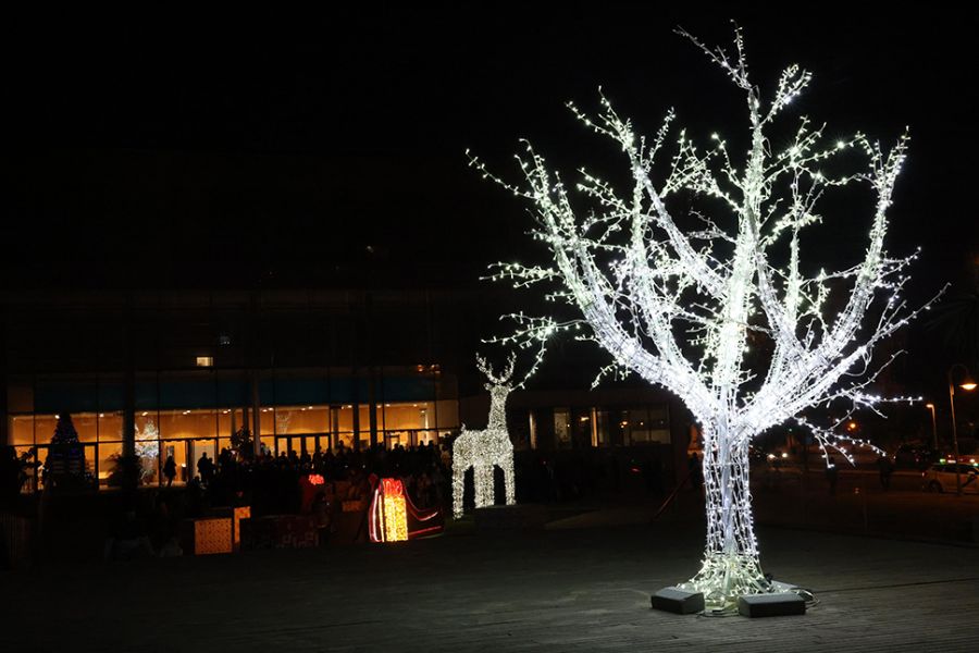 La Diputación inaugura la Navidad con actividades para todos los públicos y el tradicional Belén y alumbrado de su sede