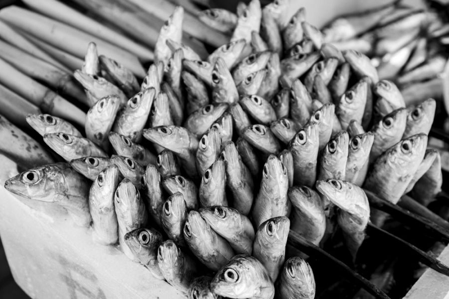 Jorge Rey Díaz gana la tercera edición del concurso fotográfico ‘La moraga y el espeto de sardinas’