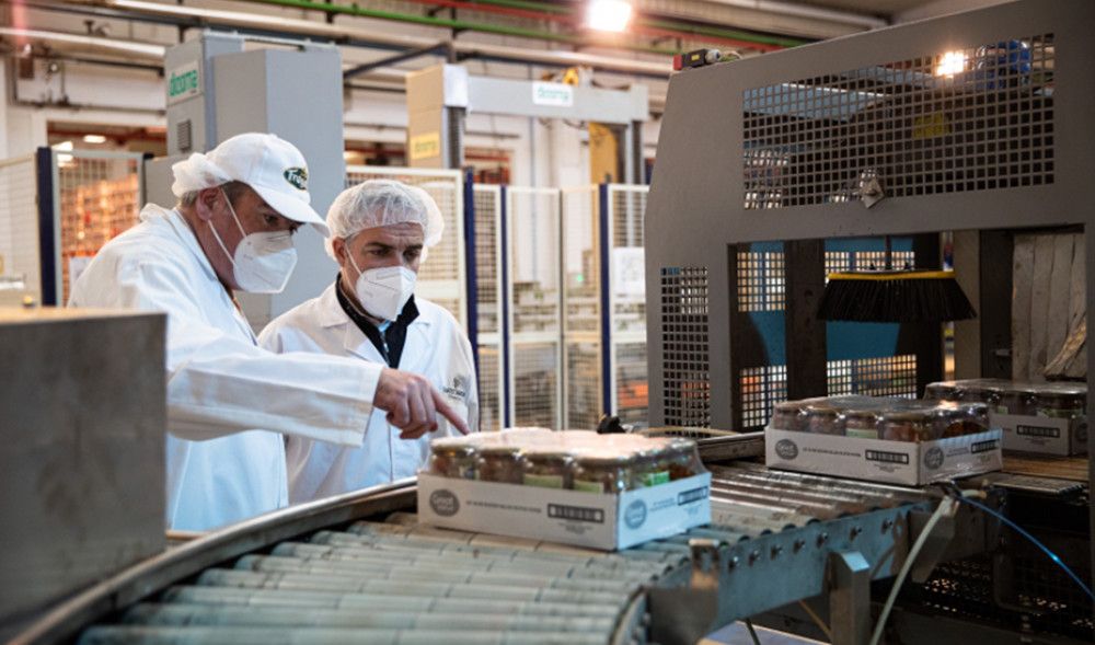 Andalucía, líder mundial de exportaciones de aceituna de mesa en 2020 con 479 millones de euros vendidos al mercado internacional