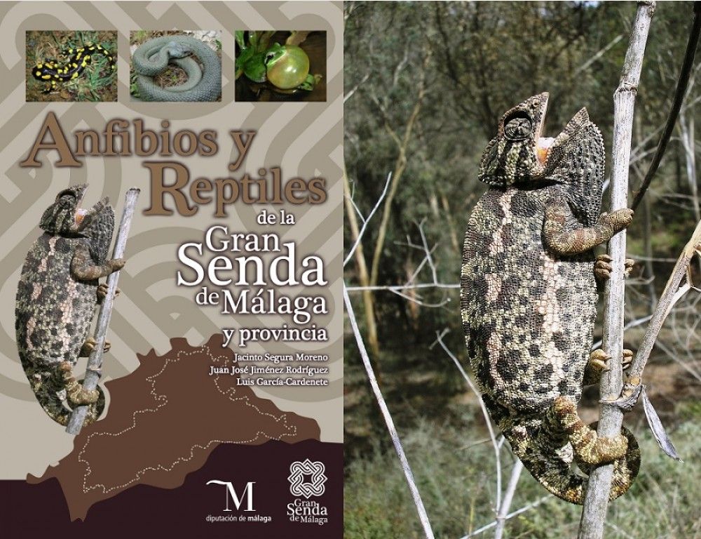 La Diputación edita la primera guía dedicada a anfibios y reptiles de la provincia