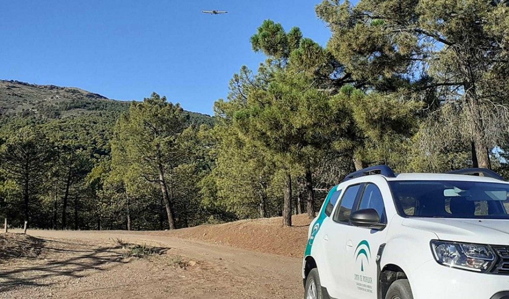 La Consejería de Agricultura inicia los tratamientos aéreos contra la procesionaria del pino