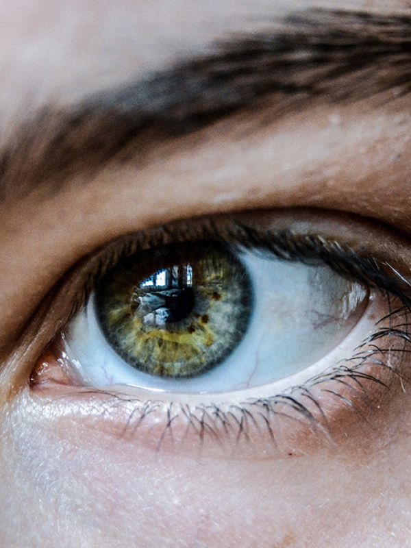 Investigadoras del CSIC proponen una nueva estrategia terapéutica para tratar la degeneración de la retina