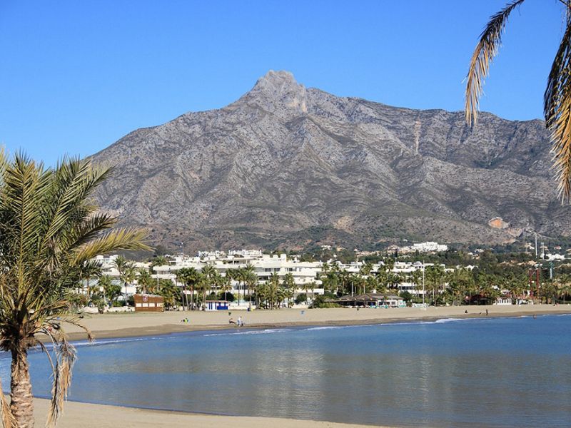 Impulsa Ciudad defiende la creación de "corredores verdes" para garantizar la sostenibilidad ambiental y el valor patrimonial de los entornos urbanos de Marbella