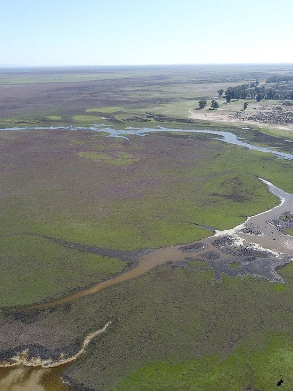 Las lluvias de las últimas semanas dejan una inundación de sólo el 1,8 % de la marisma de Doñana