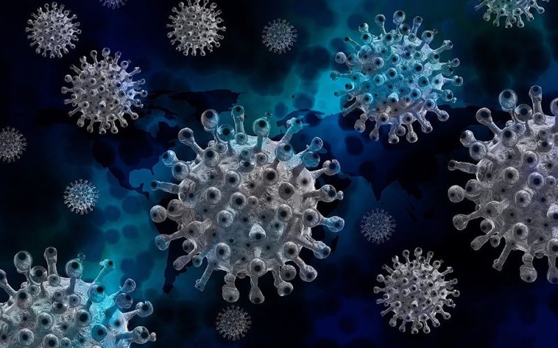 Investigadores del CSIC rastrean el coronavirus SARS-CoV-2 en Mozambique