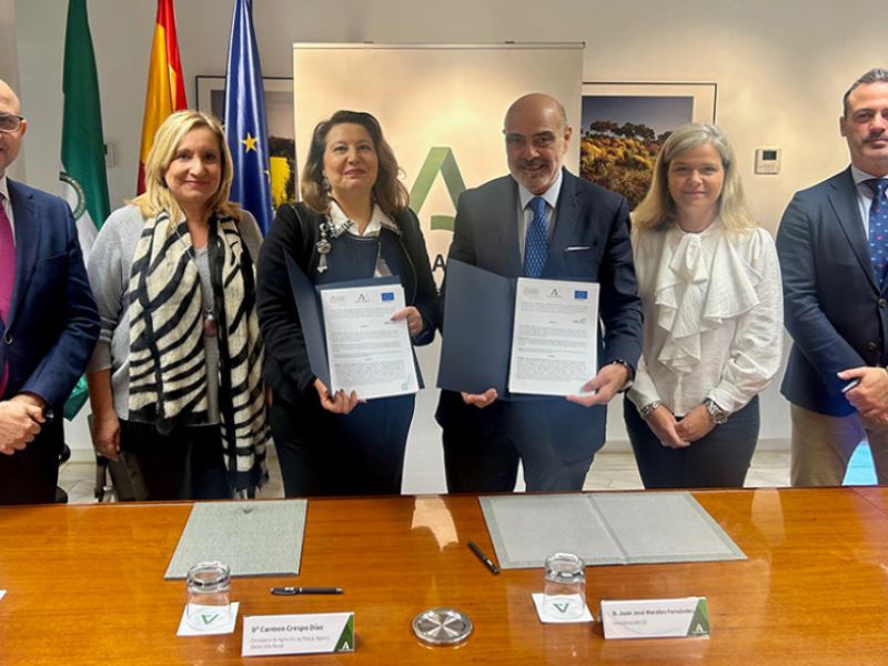 Junta y Ancce se unen para impulsar la mejora genética de los caballos de Pura Raza española