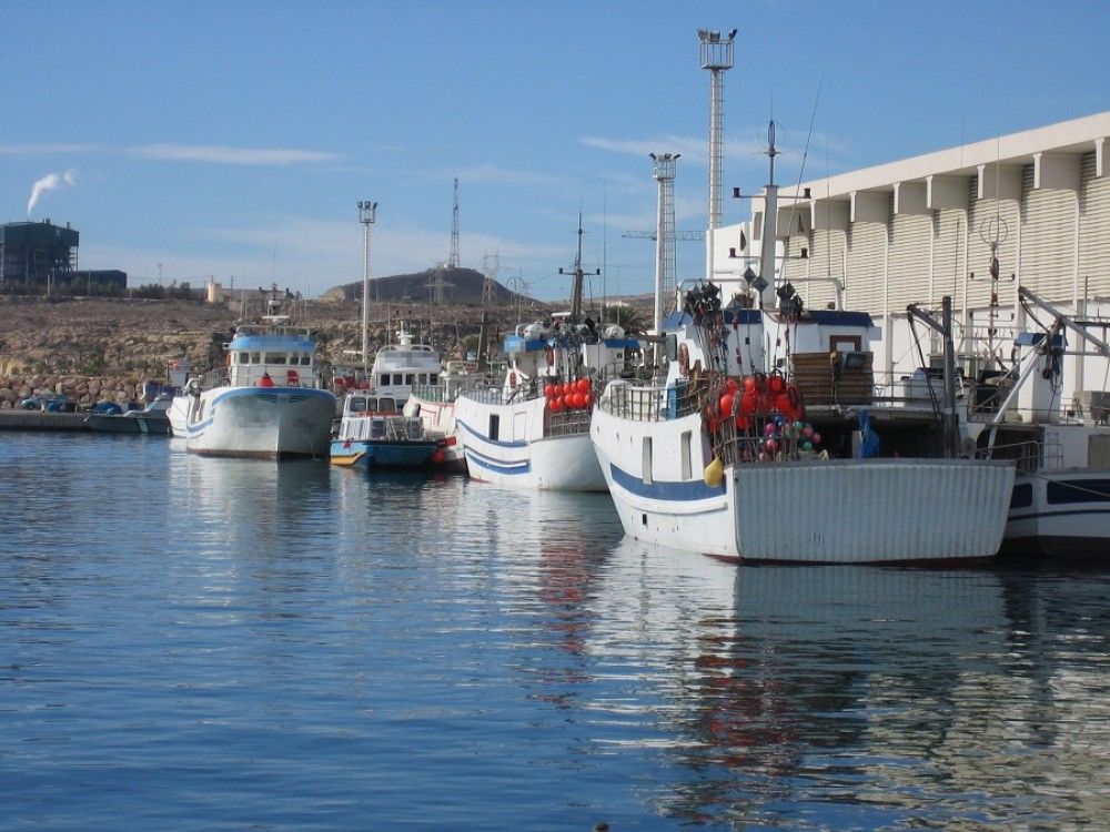 La Junta concede ayudas por valor de 930.000 euros por la paralización temporal del arrastre y el cerco en el caladero mediterráneo