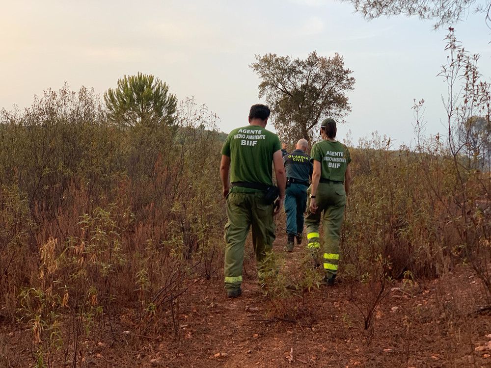 La consejera de Agricultura solicita a la Delegación del Gobierno central la colaboración de la Guardia Civil para que extremen la vigilancia en las zonas forestales