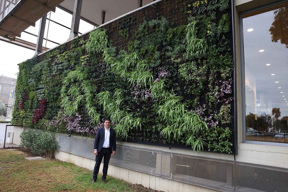 La Diputación instala en su fachada un jardín vertical de 52 metros cuadrados con 3.500 plantas