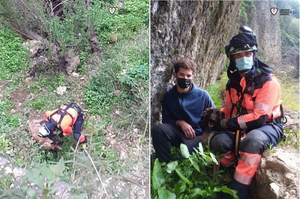 Efectivos del CPB salvan a un perro que había caído 20 metros por el Tajo de Ronda